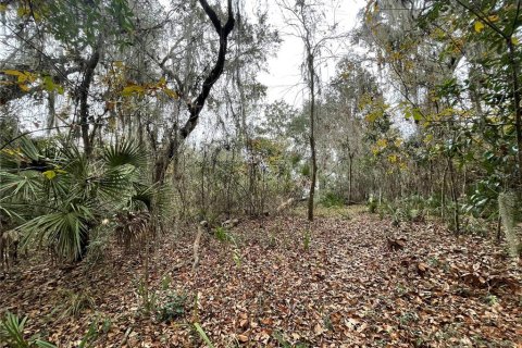 Land in Fort MC Coy, Florida № 1640914 - photo 4