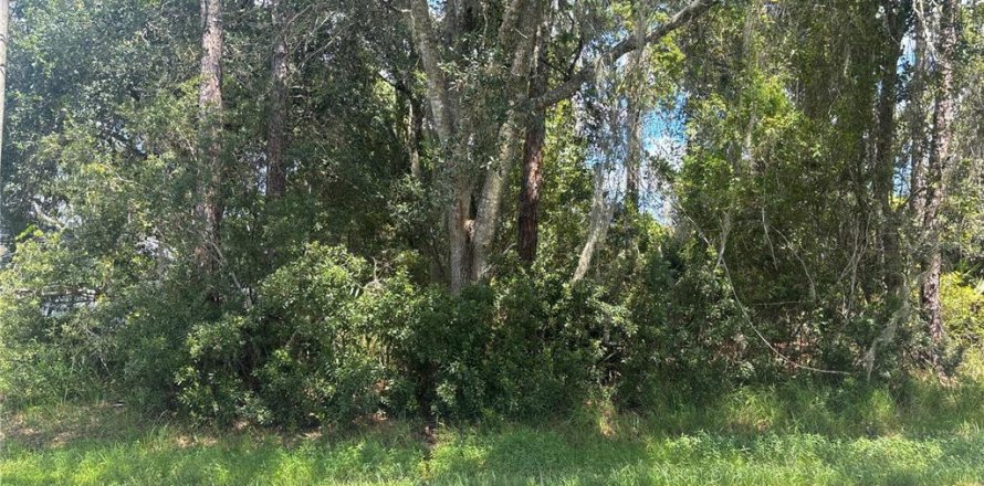 Land in Palm Coast, Florida № 1884874