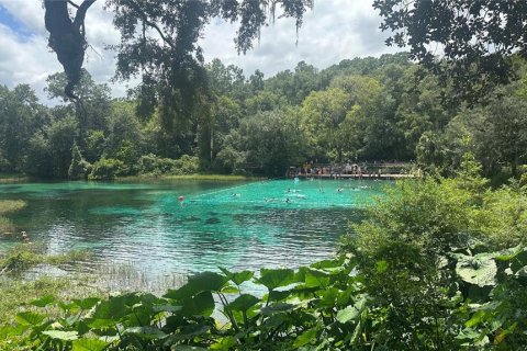 Terreno en venta en Dunnellon, Florida № 1908610 - foto 24