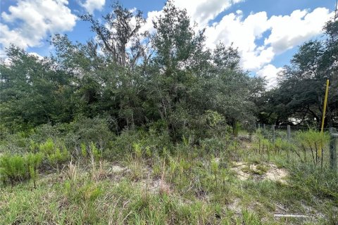 Terreno en venta en Dunnellon, Florida № 1908610 - foto 7