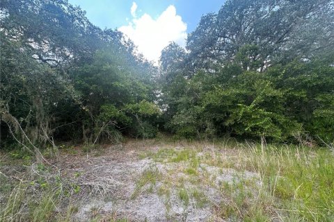 Terreno en venta en Dunnellon, Florida № 1908610 - foto 8