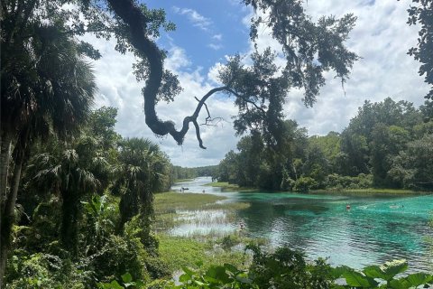 Terreno en venta en Dunnellon, Florida № 1908610 - foto 21