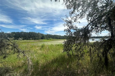 Terreno en venta en Dunnellon, Florida № 1908610 - foto 4
