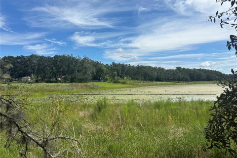 Terreno en venta en Dunnellon, Florida № 1908610 - foto 2