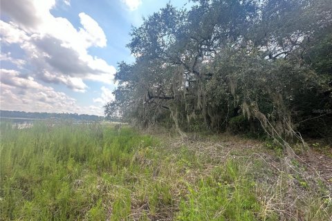 Terreno en venta en Dunnellon, Florida № 1908610 - foto 6
