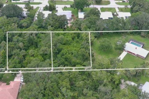 Land in New Smyrna Beach, Florida № 1775115 - photo 1