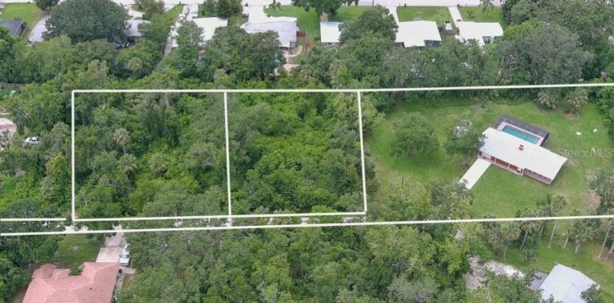 Land in New Smyrna Beach, Florida № 1775115