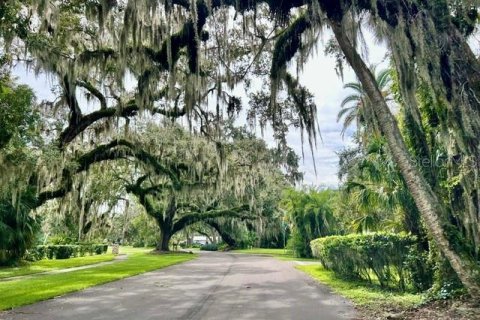 House in Kissimmee, Florida 3 bedrooms, 223.89 sq.m. № 2287559 - photo 3