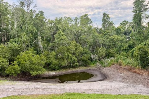 Townhouse in Wesley Chapel, Florida 2 bedrooms, 110 sq.m. № 2225113 - photo 24