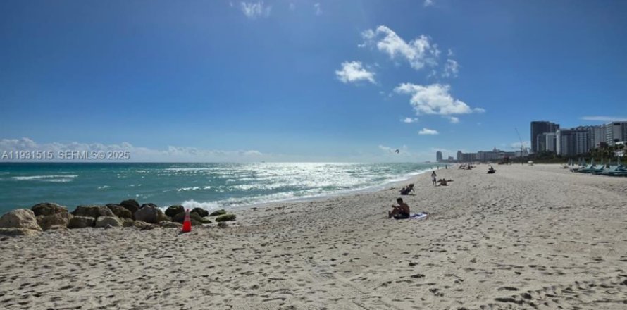 Квартира в Майами-Бич, Флорида 1 спальня, 52.58м2 № 1989914