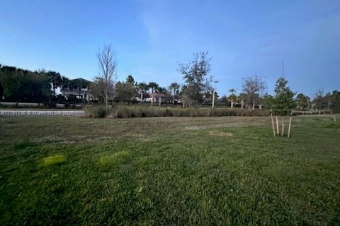 House in Ave Maria, Florida 3 bedrooms № 1860545 - photo 10