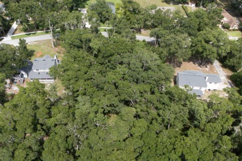 Land in Sanford, Florida № 2218973 - photo 6