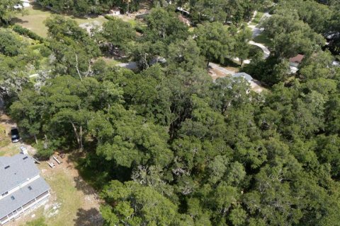 Land in Sanford, Florida № 2218973 - photo 8