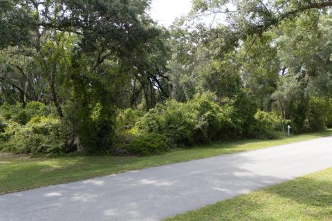 Terrain à Sanford, Floride № 2218973