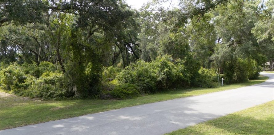 Land in Sanford, Florida № 2218973