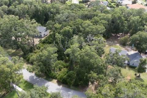 Land in Sanford, Florida № 2218973 - photo 4