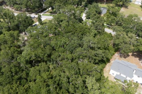 Land in Sanford, Florida № 2218973 - photo 7