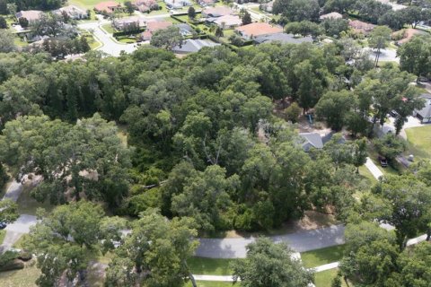 Land in Sanford, Florida № 2218973 - photo 3