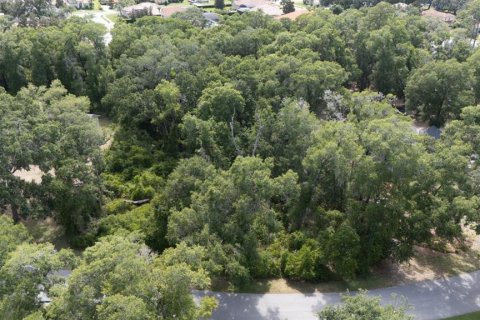 Land in Sanford, Florida № 2218973 - photo 5