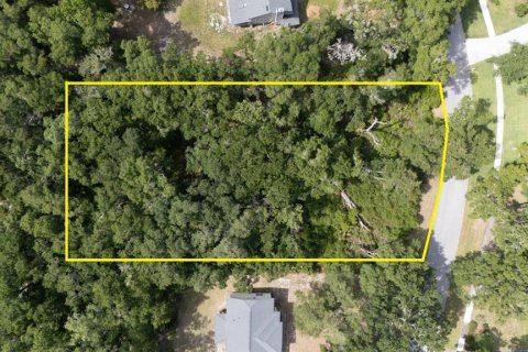 Land in Sanford, Florida № 2218973 - photo 2
