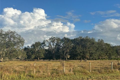 Land in Wauchula, Florida № 1559476 - photo 12