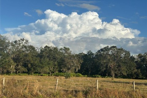 Land in Wauchula, Florida № 1559476 - photo 14