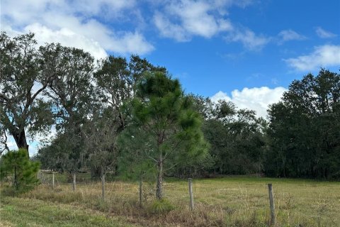 Land in Wauchula, Florida № 1559476 - photo 22