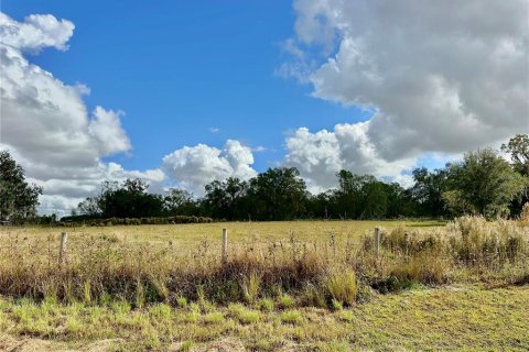 Land in Wauchula, Florida № 1559476 - photo 8