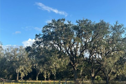 Land in Wauchula, Florida № 1559476 - photo 16
