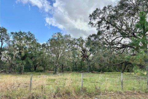 Land in Wauchula, Florida № 1559476 - photo 25