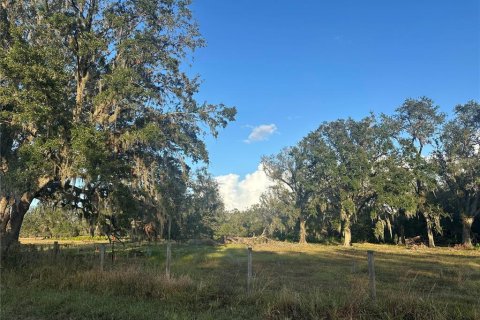 Land in Wauchula, Florida № 1559476 - photo 23