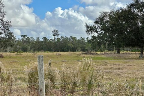 Land in Wauchula, Florida № 1559476 - photo 7