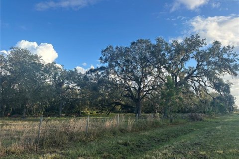 Land in Wauchula, Florida № 1559476 - photo 19