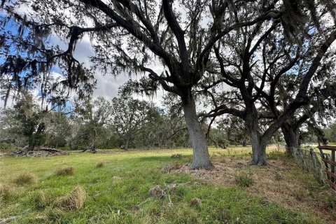 Land in Wauchula, Florida № 1559476 - photo 5