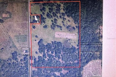 Land in Wauchula, Florida № 1559476 - photo 4