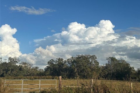 Land in Wauchula, Florida № 1559476 - photo 10