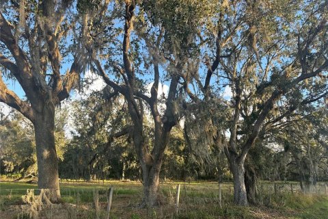 Land in Wauchula, Florida № 1559476 - photo 1