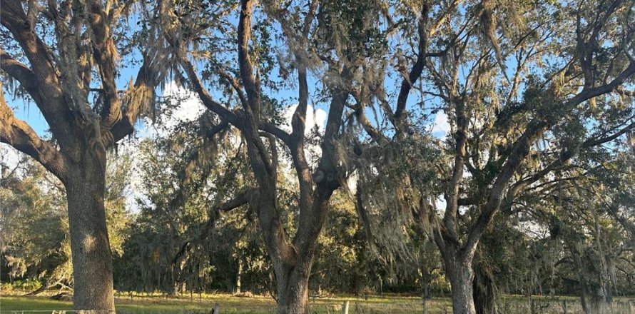 Land in Wauchula, Florida № 1559476