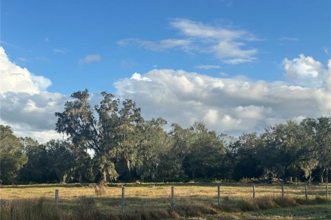 Land in Wauchula, Florida № 1559476 - photo 15