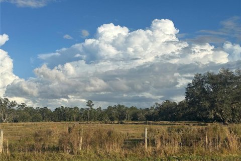 Land in Wauchula, Florida № 1559476 - photo 11