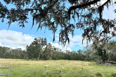 Land in Wauchula, Florida № 1559476 - photo 24