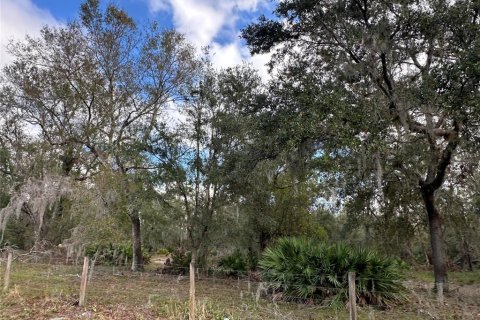Land in Wauchula, Florida № 1559476 - photo 21