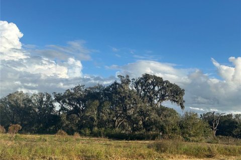 Land in Wauchula, Florida № 1559476 - photo 9