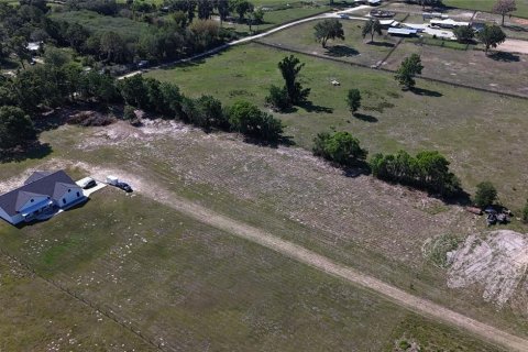 Land in Summerfield, Florida № 1745165 - photo 6