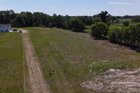 Land in Summerfield, Florida № 1745165 - photo 4