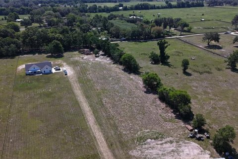 Land in Summerfield, Florida № 1745165 - photo 5