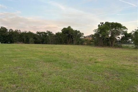 Land in Summerfield, Florida № 1745165 - photo 1