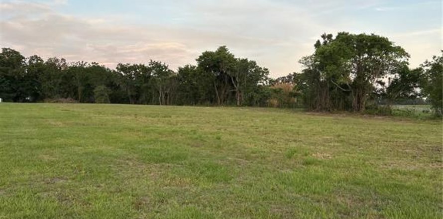 Land in Summerfield, Florida № 1745165
