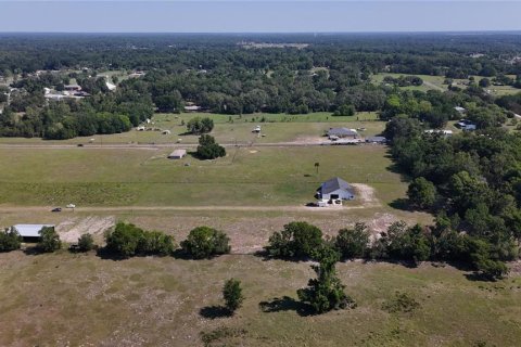 Land in Summerfield, Florida № 1745165 - photo 3