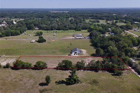 Land in Summerfield, Florida № 1745165 - photo 2